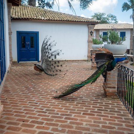 Hotel Fazenda Sao Silvano Morungaba Dış mekan fotoğraf