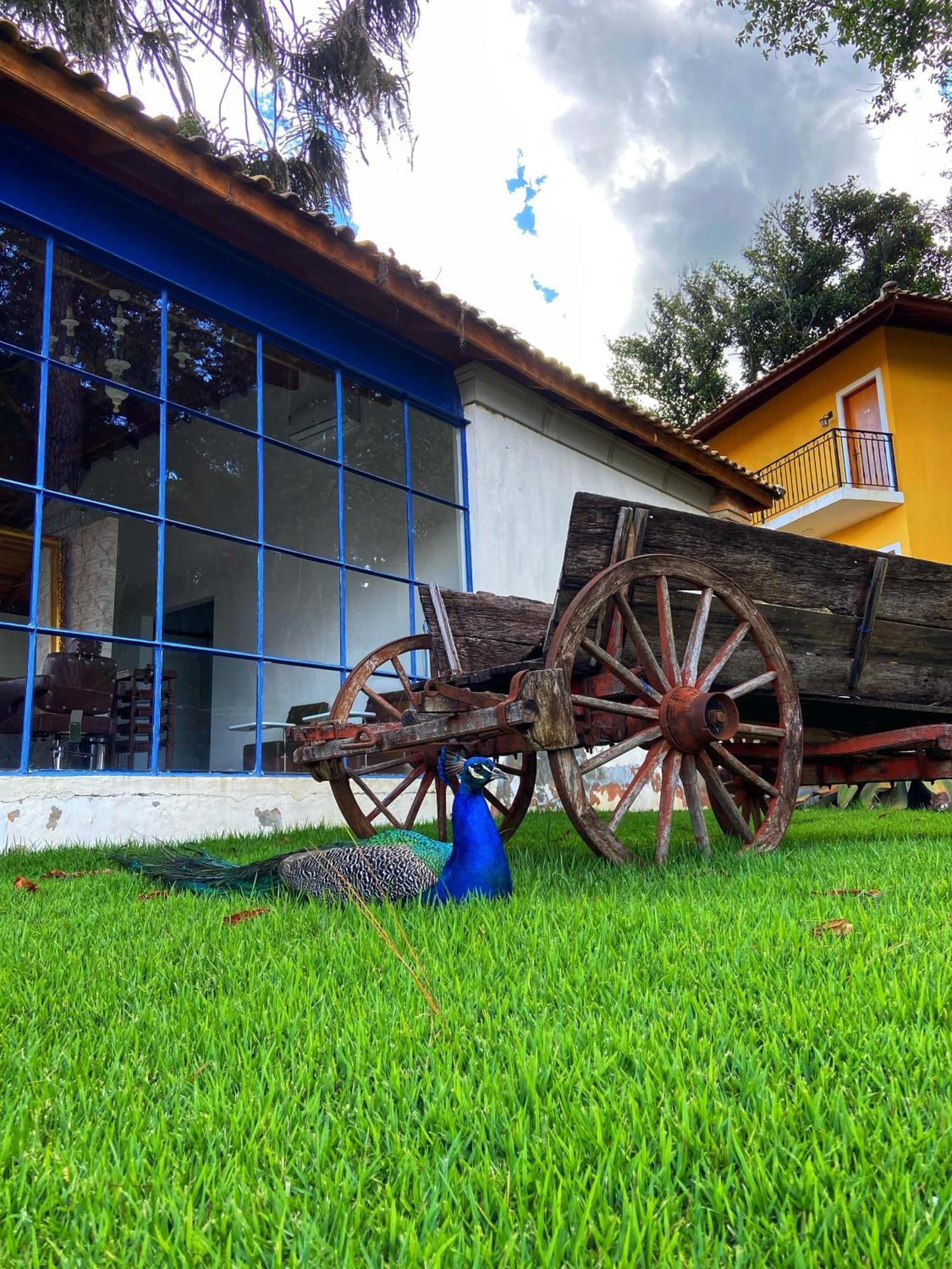 Hotel Fazenda Sao Silvano Morungaba Dış mekan fotoğraf